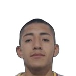 J. Yangali